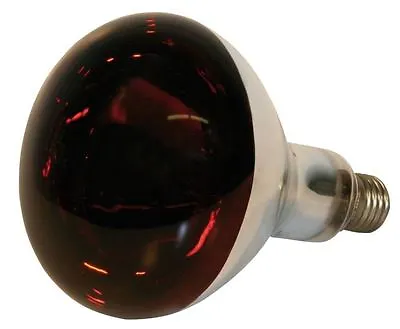 £9.49 • Buy INFRA RED HEAT BULB LAMP RUBY 250w / 175w Poultry Lambs Livestock Cats Dogs Pets