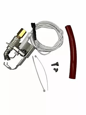 Pilot Assembly Replaces Raypak 002003F Pool & Spa Heaters • $39.25