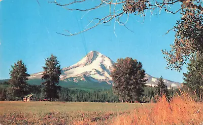 Postcard 1955 Mount Hood Oregon Lovely Scenic View Grand Mountain VTG ME4. • £2.75