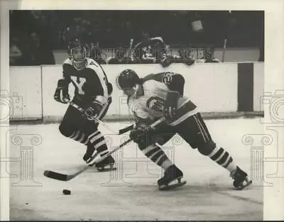 1978 Press Photo Rensselaer Polytechnic Institute And Yale Play College Hockey • $19.99