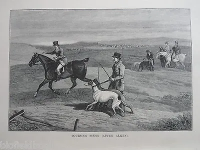 Original Antiquarian Engraving;  Coursing Scene - C1880 - Dogs Hunting Horses • £9.99