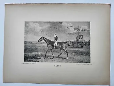 Vintage Antique Print 1887 Portraits Famous Racehorses Sligo Foaled 1809 • £16