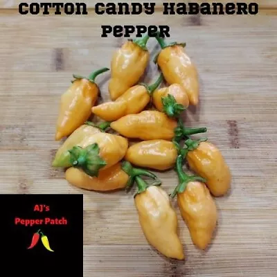 (12) Cotton Candy Habanero Pepper Seeds • $3.50