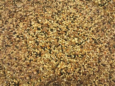 Canary Conditioner  / Conditioning Seed  Feed 1000g • £7.59