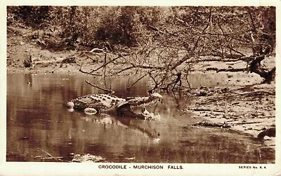 Uganda Crocodile Murchison Falls RPPC 06.19 • £5.78