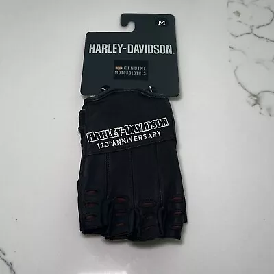 Harley Davidson Mens 120th Anniversary True North Fingerless Leather Gloves NWT • $79.95