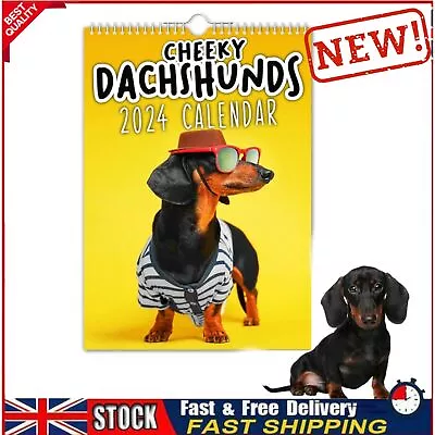 Cheeky Dachshunds - 2024 Wall Calendar Fun Dogs Wall Calendar • £10.66