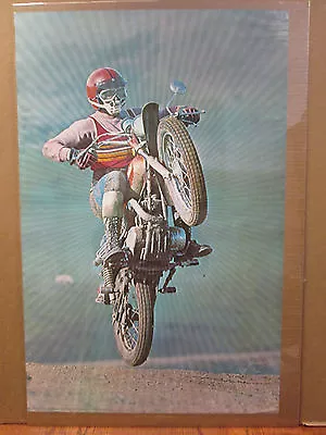 Vintage 1973 Dirt Bike Original Mx Poster  9059 • $39.97