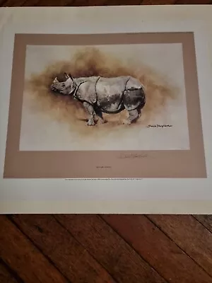 David Shepherd Limited Edition Signed Print  Indian Rhino  Never Seen Daylight • £75