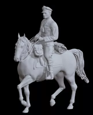 £35 • Buy Ww2 German Officer Rider 120mm Soldier 1/16th Resin Printed