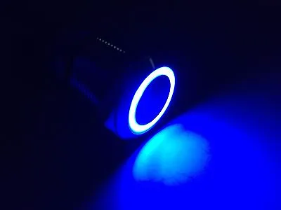 Marine Car SS304 Blue LED 12V 5A Flush Light Auto ON-OFF Push Switch Ring Button • $9.99