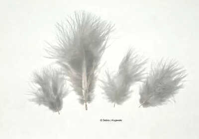Marabou Feathers Small 1-3  Fluffs GRAY 7 Grams Approx. 105 Per Bag • $2.65