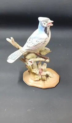 Vintage Blue Jay Fine Porcelain Figurine - 4-3/4  High X 3-3/4  Long X 2  Wide • £10.60