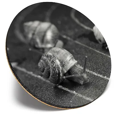 Round Single Coaster  - BW - Racing Snails Race Funny Insect Snail  #43556 • £4.99