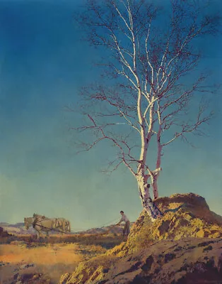 Maxfield Parrish The White Birch Canvas Print 16 X 20    #4293 • $39.99