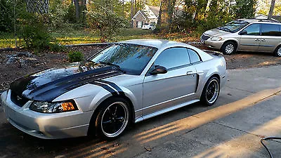 1999-2004 Mustang Fender Hash Stripes Decals Graphics Vinyl 2000 2001 2002 2003 • $12.95