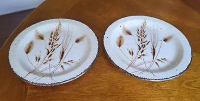 Pair Midwinter Stonehenge WILD OATS 7” Bread Butter Plate MCM Stoneware FREE S&H • $19.99