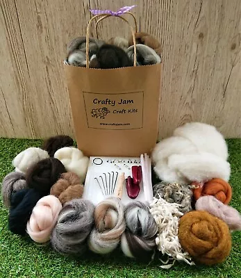 Natural 3D Animal Needle Felting & Textures Starter Kit Wool Needles Mat Eyes  • £25.10