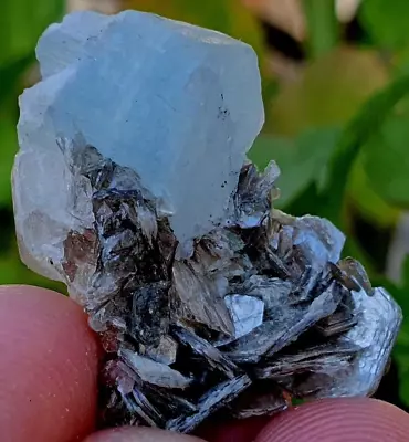 35 Carats Beautiful Sky Blue Aquamarine Var Fluorite On Mica Specimen @ Pak • $1.25