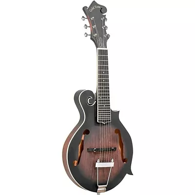 Gold Tone F-6  F-style Acoustic-Electric Mando-Guitar Vintage Sunburst • $729.99