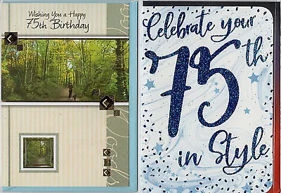 Various Age 75 Male Birthday Cards (75th)  ** MULTI-BUY DISCOUNT ** • £1.40