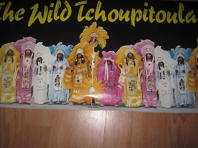 The Wild Tchoupitaulas Mardi Gras POSTER - Very RARE - 1976 ISLAND RECORDS • $60