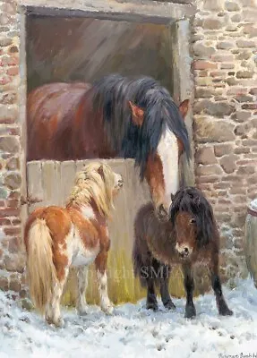 Heavy Horse 'Stable Mates' Christmas Cards Pack Of 10 By R S Welch. C685X • £7