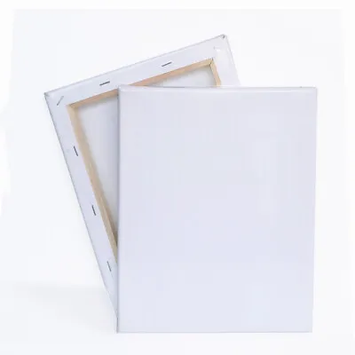 Blank Artist Canvas Art Board Plain Painting Stretched Framed White Large Small • £4.99