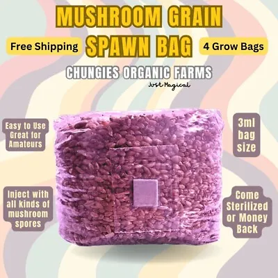 (4x) 3lb Rye Berry Mushroom Substrate - Organic - Sterilized Grain Spawn Bags • $38.95
