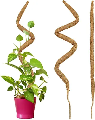 45.28 Inches Moss Poles For Cheese Climbing Plants Monstera Support Bendable To • £19.35