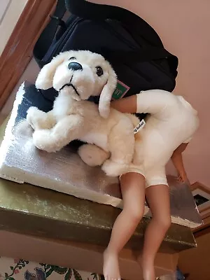 My Twinn Puppy Suitcase And Non Poseable Body   Nice Condition All Marked • $29