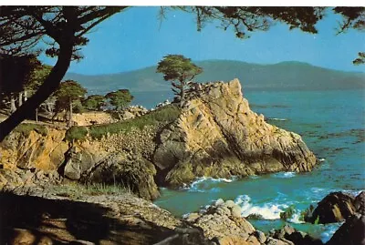 Monterey County California Carmel Bay With Cypress Trees Vintage Postcard CP323 • $4.95