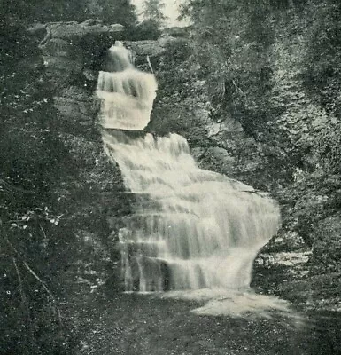 Raymondskill Falls Milford Pennsylvania Postcard 1907 • $11.85