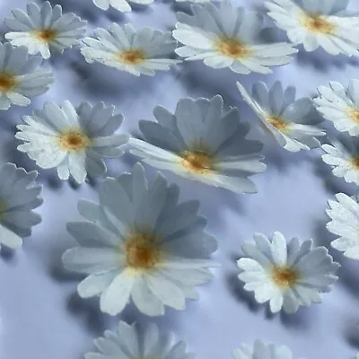 Pre-cut Edible Wafer Daisies Flowers • $12