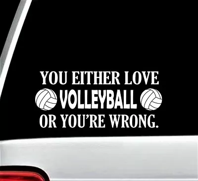 Volleyball Funny Novelty Decal Sticker For Car Window BG305 Outdoor Sports • $3.98