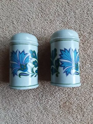 Midwinter Spanish Garden Cruet Set Salt Pepper Shaker • £14.80