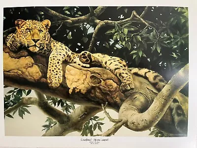 Oil On Canvas Fine Art Print By Willem S De Beer - Titled: ‘Leopard’ • £0.99