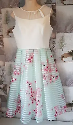Ted Baker Idola Mint Soft Floral Blossom Crepe Fit Flare Tea Dress Size 1 UK 8 • $73.98