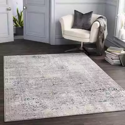 Area Rugs 5x7 Modern Living Room 8x10 Large Bedroom Carpet Riethoven Blue Rug • $190