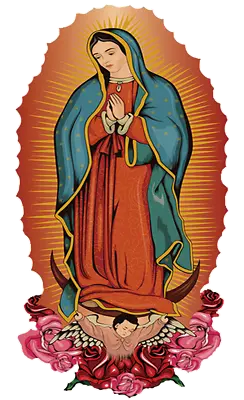 Virgen De Guadalupe 11x7  Self Iron On Heat Transfer Personalize T Shirt Lot • $9.99