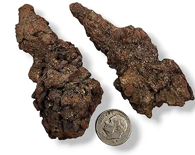 $6.99 • Buy Prehistoric Turtle Dung Coprolite Fossil Poops 124 Grams 2 Piece Lot