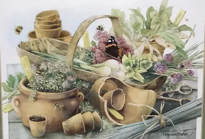 $31.99 • Buy Marjolein Bastin Nature's Sketchbook FRAMED PRINT Garden Basket Pot Plant