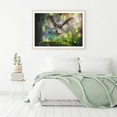 Flying Owl Closeup Photograph Print Premium Poster High Quality Choose Sizes • $24.07