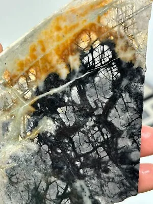 Picasso Marble (Jasper) Slab Cabbing Lapidary Utah Combo Ship Avail • $18