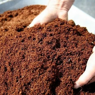 Coconut Coir Coco Peat Compost Cocopeat Organic Soil Media Hydroponics Substrate • £5.99