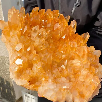 32.6LB  Large Natural Clear Quartz Crystal Cluster Energy Healing Specime. • $177.50