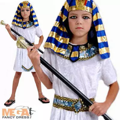 Egyptian Pharaoh Boy's Fancy Dress Kids Pharoah Book Week Costume Ages 4-12 • £10.99