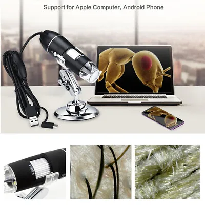 $19.77 • Buy 1000X/1600X 8 LED USB Zoom Digital Microscope Hand Held Biological Endoscope USA