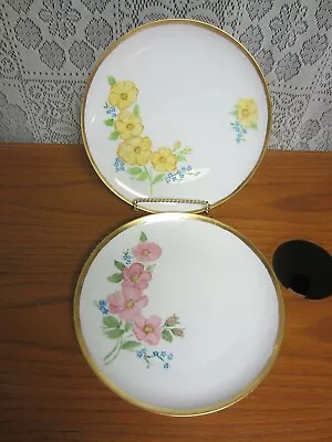 $8 • Buy (2) Eschenbach Bavaria Germany Baronet China Celeste Floral 8  Lunch Plate