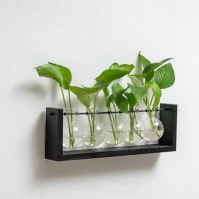 Glass Vase Wall Mounted Plant Propagation Station Modern Hydroponic Plant Vases • £13.31